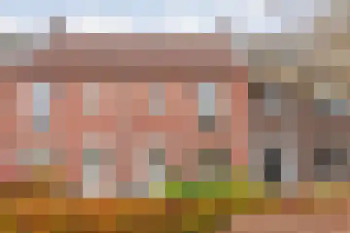 De Heerlijkheid 94 Tuk