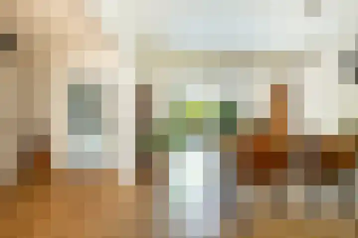De Hegen 18 Emmen thumbnail 14