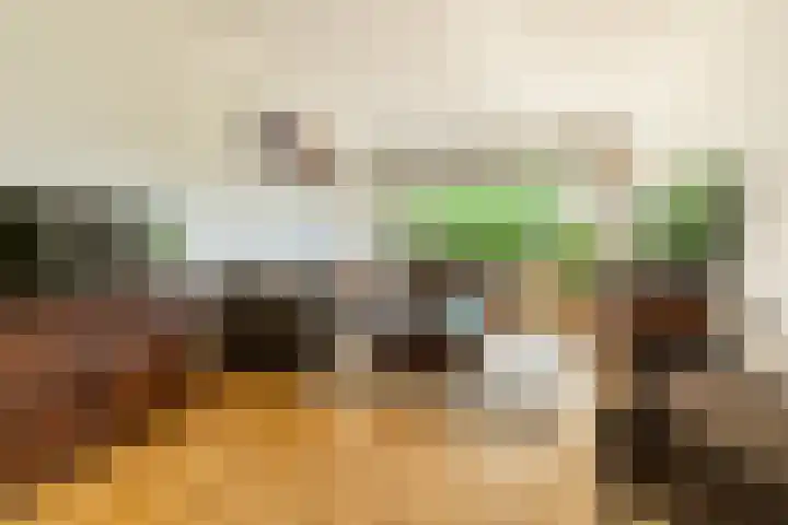 De Hegen 18 Emmen thumbnail 16