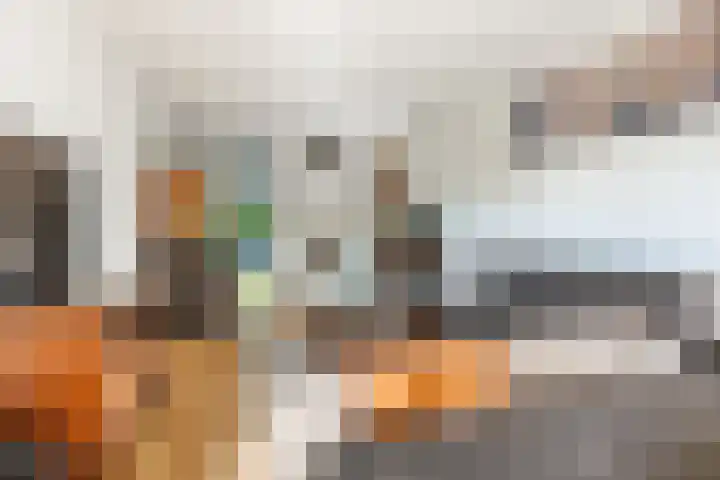 De Hegen 18 Emmen thumbnail 17