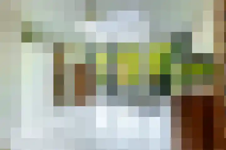 De Hegen 18 Emmen thumbnail 18