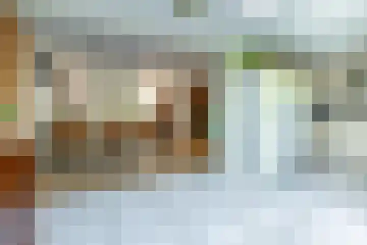 De Hegen 18 Emmen thumbnail 20