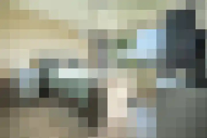 De Hegen 18 Emmen thumbnail 22