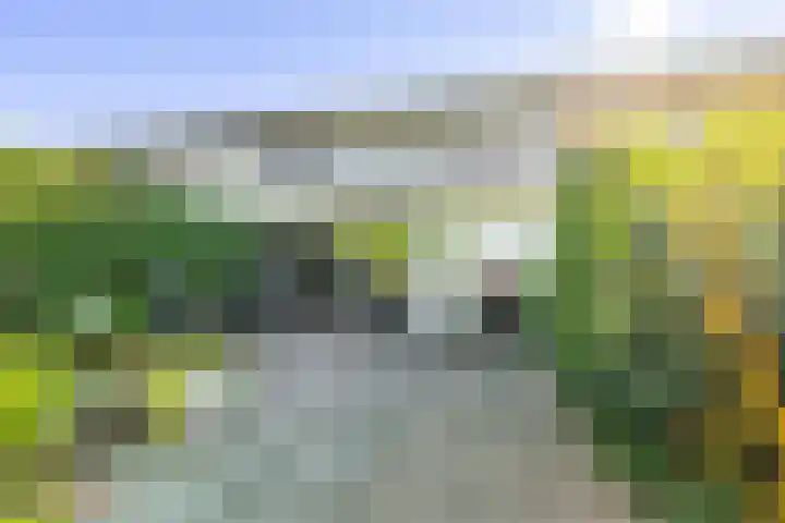 De Hegen 18 Emmen thumbnail 28