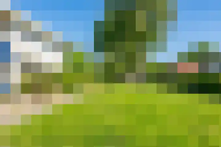 De Hegen 18 Emmen thumbnail 8