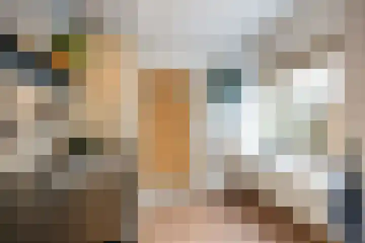De Hegen 26 Oosterwolde thumbnail 21