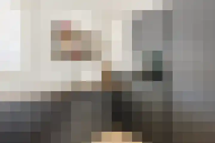 De Heggewikke 3 Budel thumbnail 11