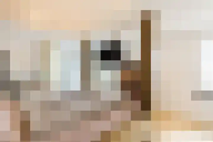 De Heggewikke 3 Budel thumbnail 15