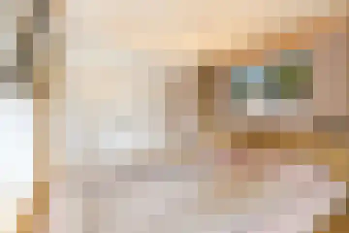 De Heggewikke 3 Budel thumbnail 16
