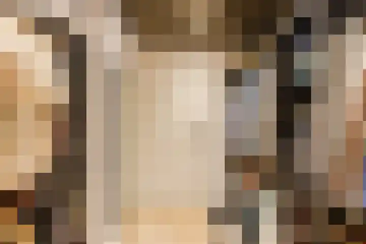 De Heggewikke 3 Budel thumbnail 18