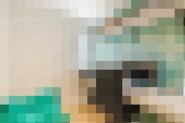 De Heggewikke 3 Budel thumbnail 19