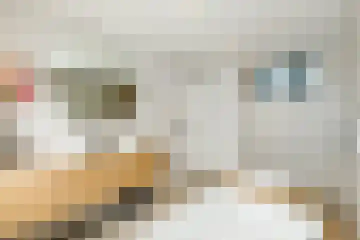 De Heggewikke 3 Budel thumbnail 21