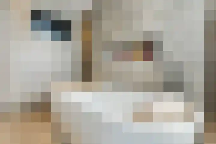 De Heggewikke 3 Budel thumbnail 22