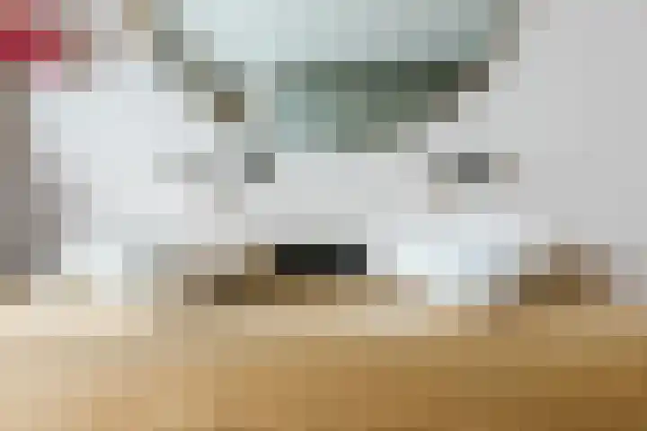 De Heggewikke 3 Budel thumbnail 23