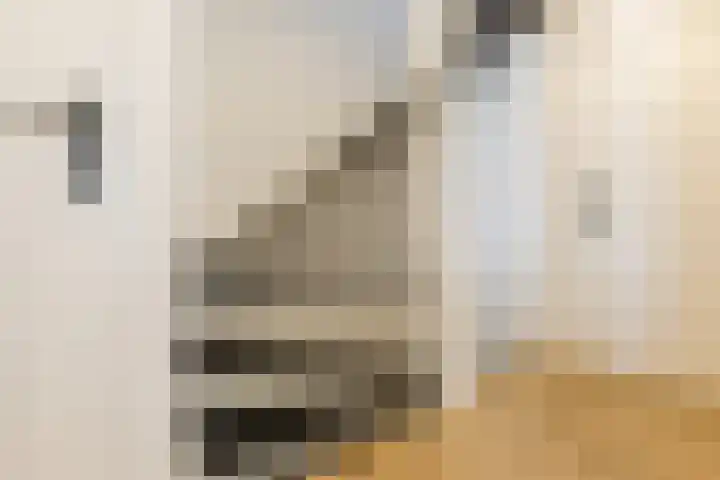 De Heggewikke 3 Budel thumbnail 25