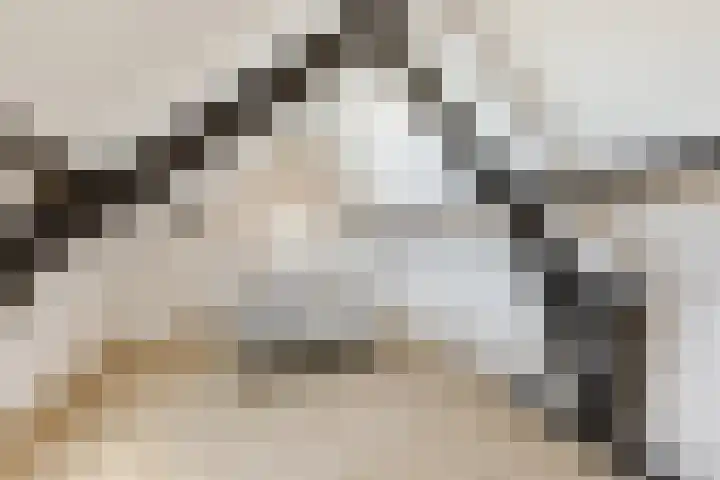 De Heggewikke 3 Budel thumbnail 26