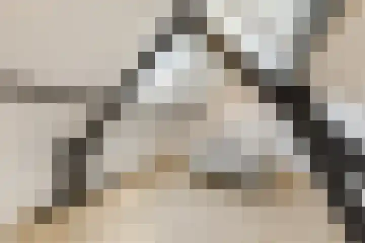 De Heggewikke 3 Budel thumbnail 27