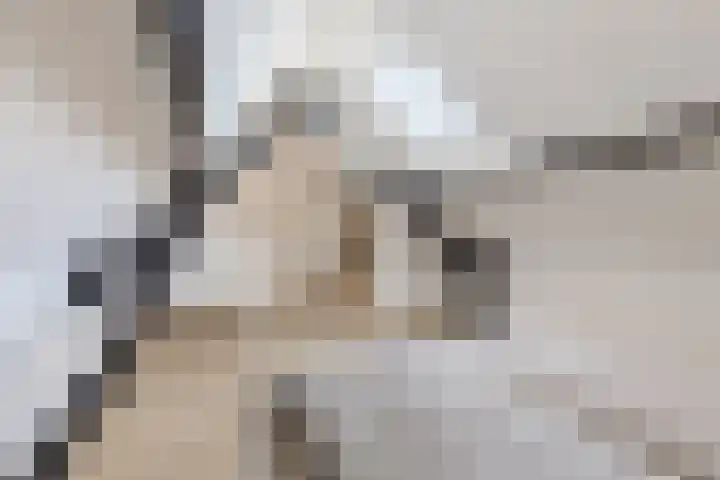 De Heggewikke 3 Budel thumbnail 28