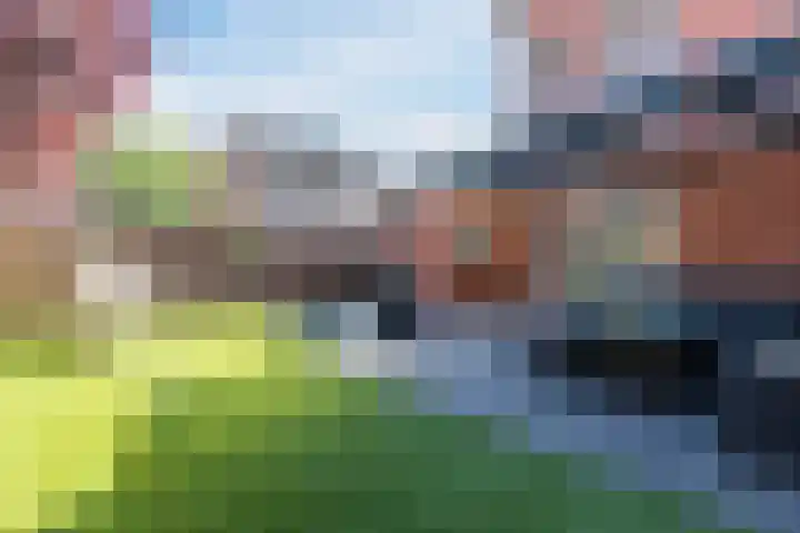 De Heggewikke 3 Budel thumbnail 29