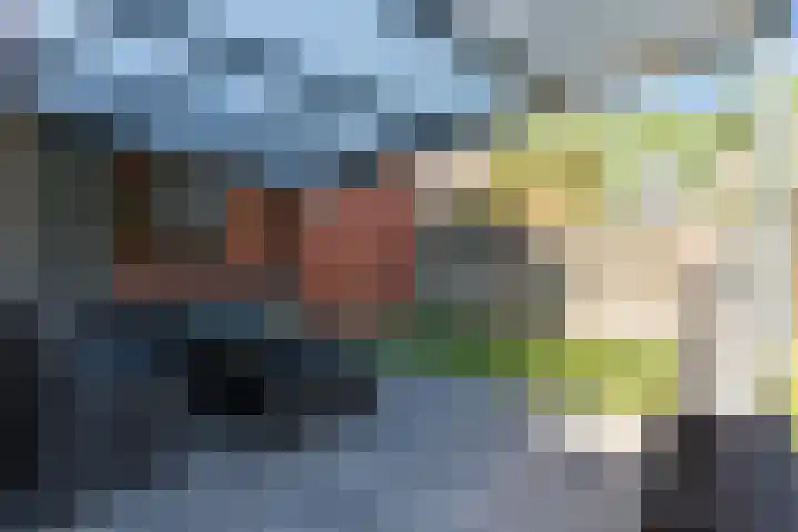 De Heggewikke 3 Budel thumbnail 31