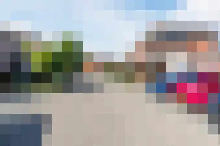 De Heggewikke 3 Budel thumbnail 34