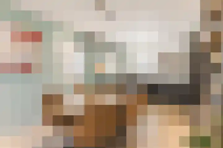 De Heggewikke 3 Budel thumbnail 7