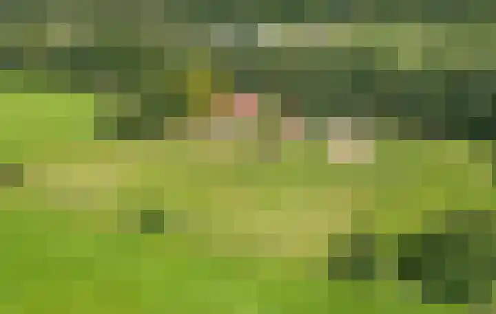 De Heide 4 De Wilgen