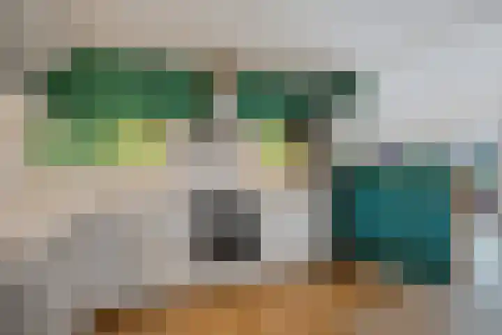 De Heide 4 De Wilgen thumbnail 11