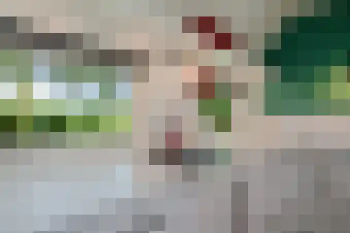 De Heide 4 De Wilgen thumbnail 12