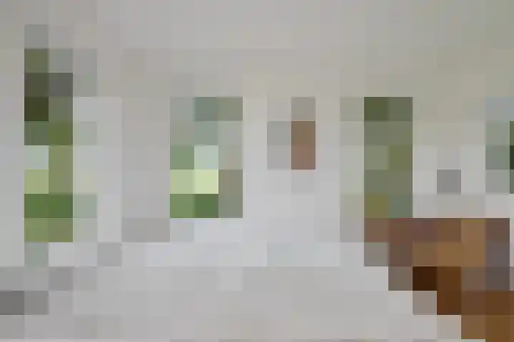De Heide 4 De Wilgen thumbnail 15