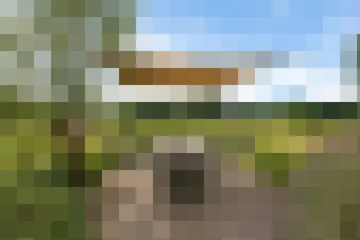 De Heide 4 De Wilgen thumbnail 28