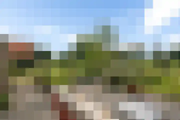 De Heide 4 De Wilgen thumbnail 29