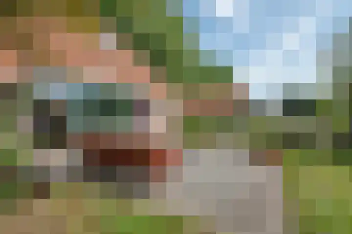 De Heide 4 De Wilgen thumbnail 30