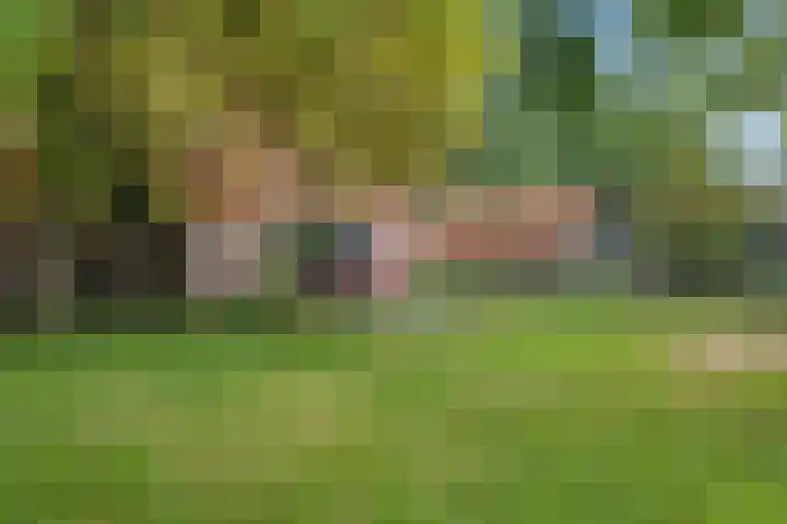 De Heide 4 De Wilgen thumbnail 31
