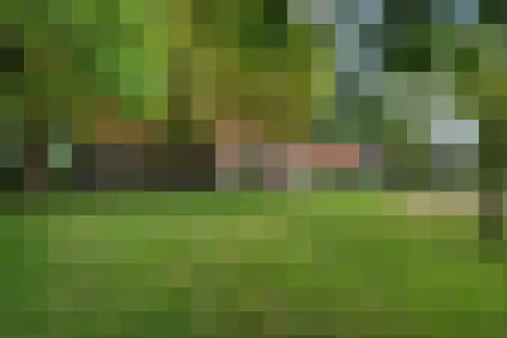 De Heide 4 De Wilgen thumbnail 32