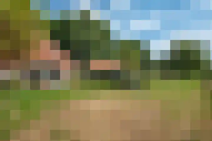 De Heide 4 De Wilgen thumbnail 33