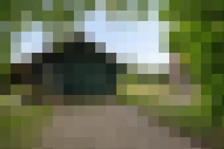 De Heide 4 De Wilgen thumbnail 35