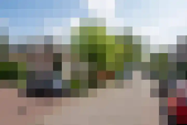 De Heide 4 De Wilgen thumbnail 36