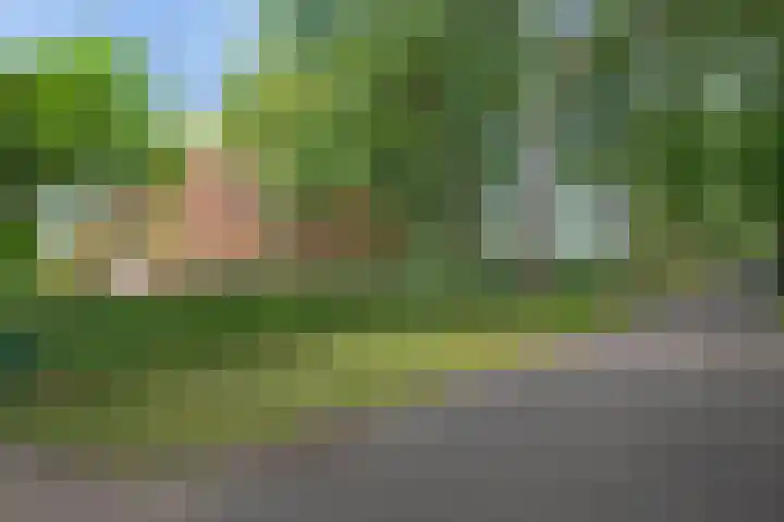De Heide 4 De Wilgen thumbnail 37