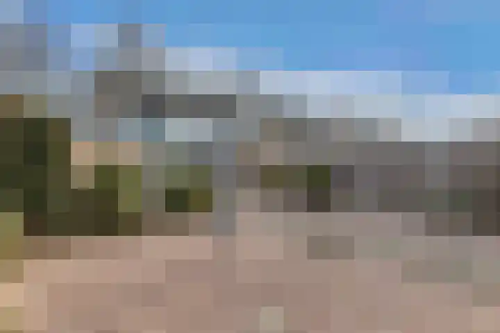 De Heide 4 De Wilgen thumbnail 38