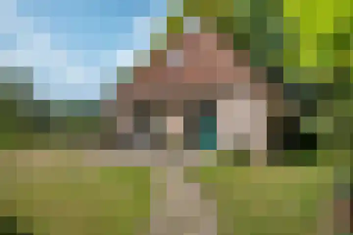 De Heide 4 De Wilgen thumbnail 41