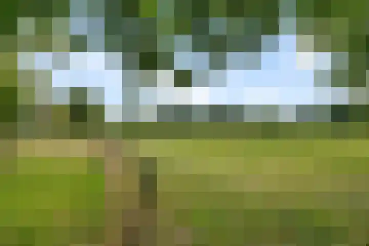 De Heide 4 De Wilgen thumbnail 43