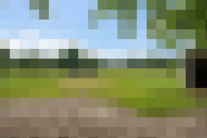 De Heide 4 De Wilgen thumbnail 44