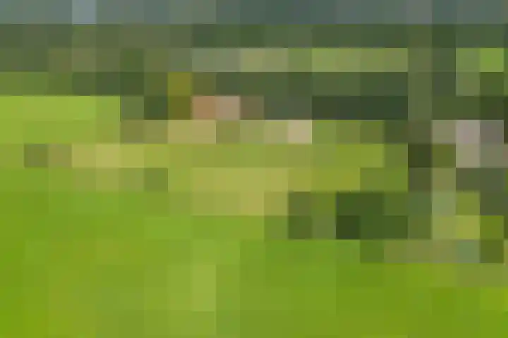 De Heide 4 De Wilgen thumbnail 45