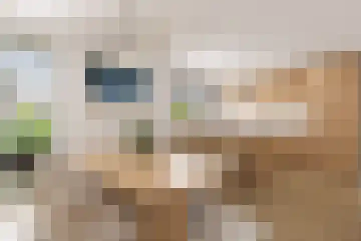 De Heie 3 Delden thumbnail 20