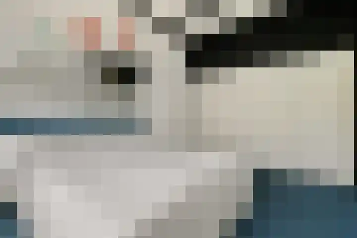 De Heie 3 Delden thumbnail 43