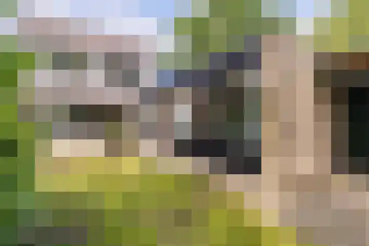 De Heie 3 Delden thumbnail 51