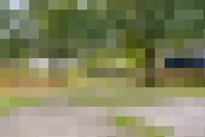 De Heie 3 Delden thumbnail 6