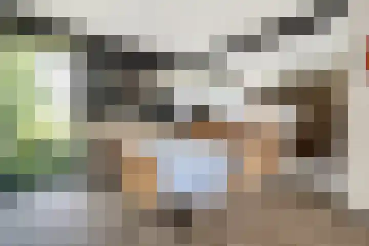 De Heie 5 Delden thumbnail 21