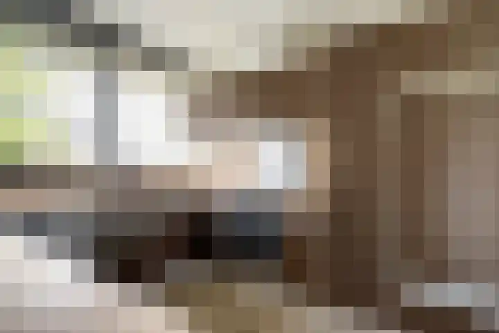 De Heie 5 Delden thumbnail 22